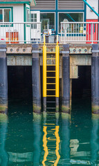 Yellow Ladder Into Green Water on a Concrete Pier