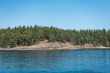 view of coast line covered with dense green forest on the island over the horizon under blue sky on a sunny day on the ocean