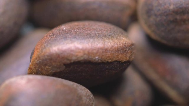 Ripe nut cedar rotate on a wooden background. Pine nuts