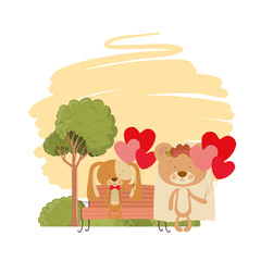 cute animals sitting in the park chair