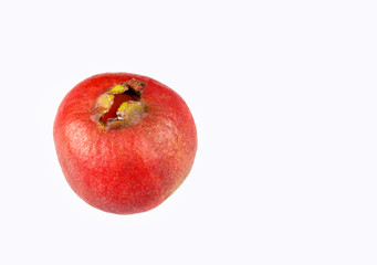 Psidium cattleianum - Strawberry guavas. White background