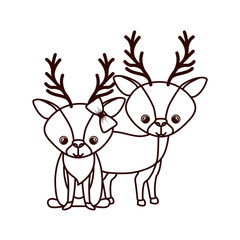 cute couple of deers on white background
