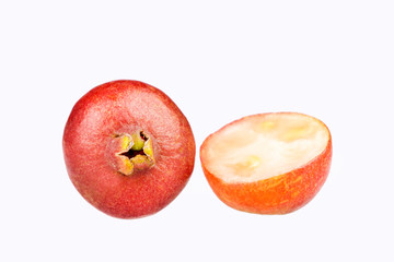Psidium cattleianum - Cattley guava. White background
