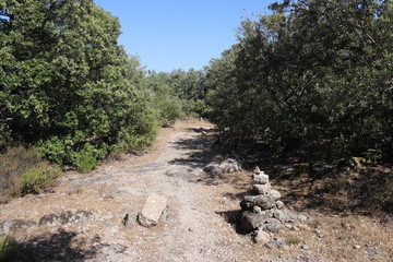 Chemin de randonnée dans les Cévennes	