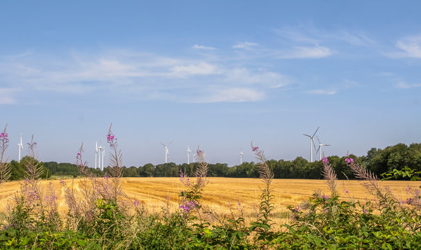 Landschaft im Muensterland