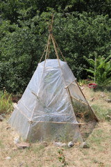 Tipi serre dans un jardin, Cévennes