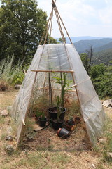 Tipi serre dans un jardin, Cévennes