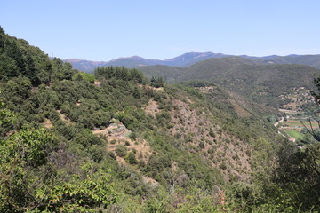 Paysage de montagne dans les Cévennes