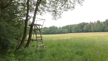 Wooden hunting stand in forest