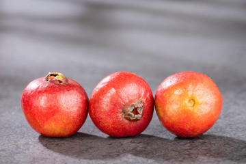 Psidium cattleianum - Strawberry guavas. Top view