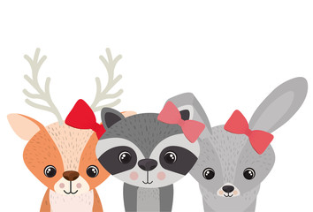 cute couple of dogs sitting on park chair