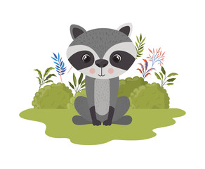 cute raccoon with background landscape
