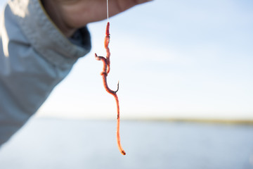 Worm for bait fishing hook