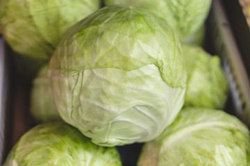 Group of green cabbages in a supermarket, Cabbage background. Selective focus
