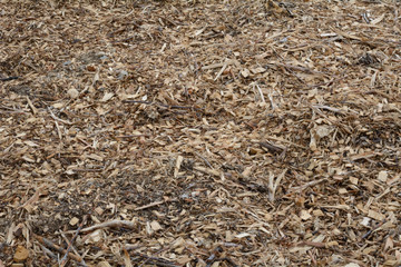 Background field of tree mulch made from old Christmas trees put through chipper and recycled for suburban park use