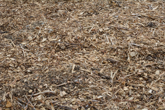 Background Field Of Tree Mulch Made From Old Christmas Trees Put Through Chipper And Recycled For Suburban Park Use