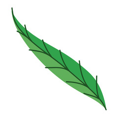 Isolated leaf design vector illustration
