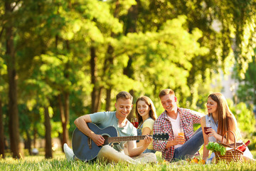 Young people enjoying picnic in park on summer day