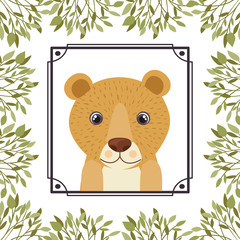 cute and adorable tiger with frame