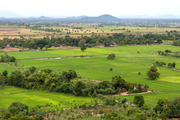 Fototapeta na wymiar Above the green rice fields and rain forest.