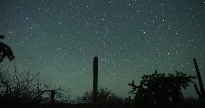 Sonoran Desert Meteor Shower Timelapse