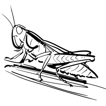 イナゴ Stock イラスト Adobe Stock