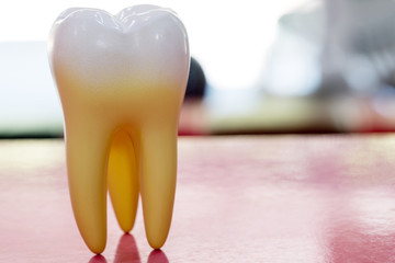 tooth anatomy on color background.