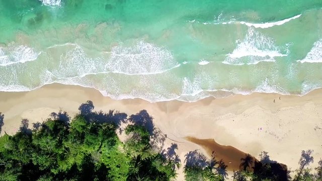 Birdseye view looking down on Red Frog Beach in Bastimentos, Panama.