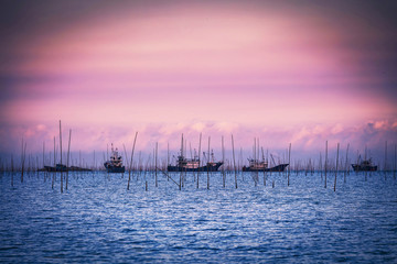 Seaweed plantation in Fujian Province, China