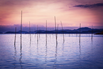 Seaweed plantation in Fujian Province, China