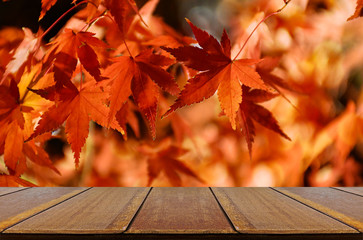 Naklejka na ściany i meble Perspective wood counter with autumn Japanese maple tree background.