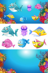 Naklejka na ściany i meble Background design with many sea animals