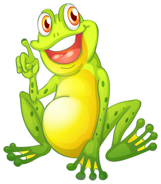 Green frog on white background