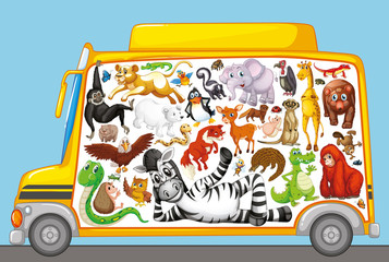 Many cute animals on school bus