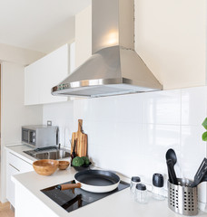 Modern kitchen interior with pantry cupboard, flower pot near the wash basin.