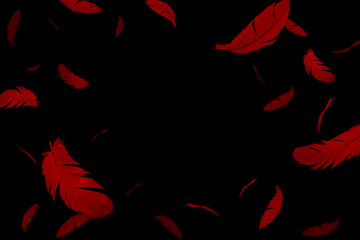 red feathers floating in the dark. feathers on black