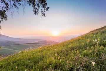 trees at sunset in the mountains