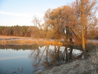 pond with late autumn frost on the ground