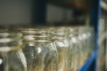 Empty glass canning jars for pressure cooking preservation of food