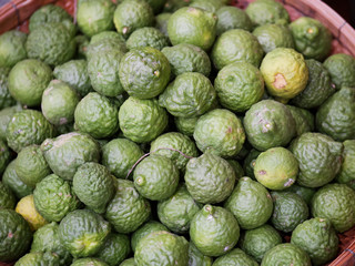 Closeup Group of bergamot in basket