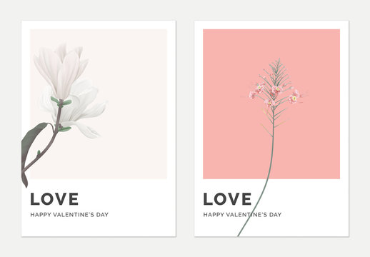 Minimalist botanical valentine greeting card template design, Anise magnolia on grey and peacock on pink