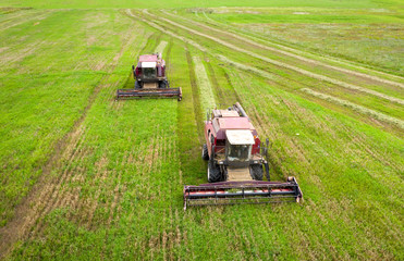 Aerial view of combine harvesters on agricultural field. Harvesting time. Harvester on green agriculture field.