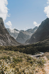 A Breathtaking Scenic Road in New Zealand. Vertical Image