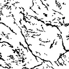 Abstract Structural Curved Pattern. Black and White Dots, Lines. Poster for Print. The Raster Illustration image