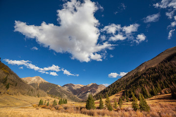 Fototapeta premium Autumn in Colorado