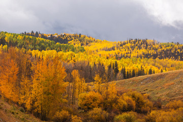 Fototapeta premium Autumn in Colorado