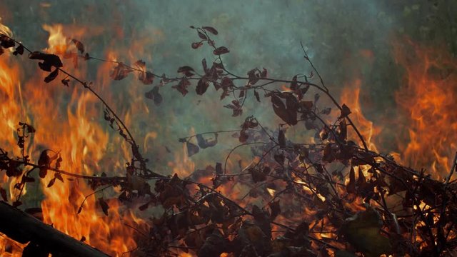 Amazon On Fire Images – Browse 102 Stock Photos, Vectors, and Video ...