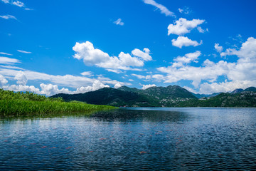 Montenegro, Boat trip on skadar lake alongside green islands of reed plants surrounded by majestic mountains and hills in national park nature landscape