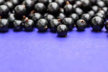 Black currant. Top view.
