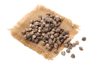 Organic Wingless Moringa (Moringa oleifera) seeds on white background